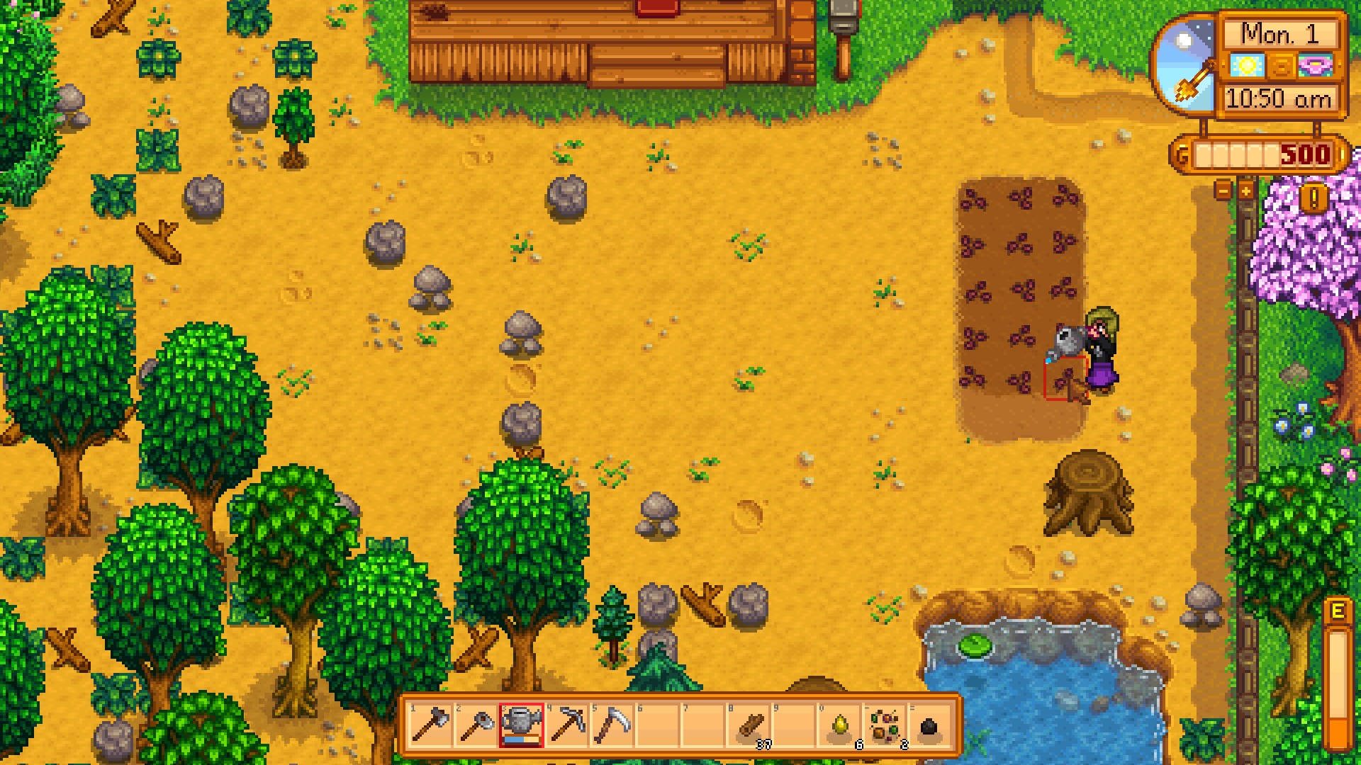 Captura de Stardew Valley